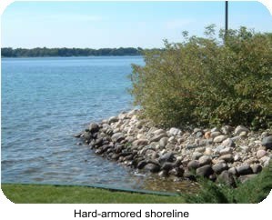 Hard-Armored Shoreline