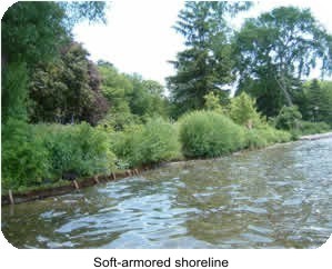 Soft-Armored Shoreline
