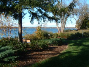 Shoreline colors, early fall of 2004